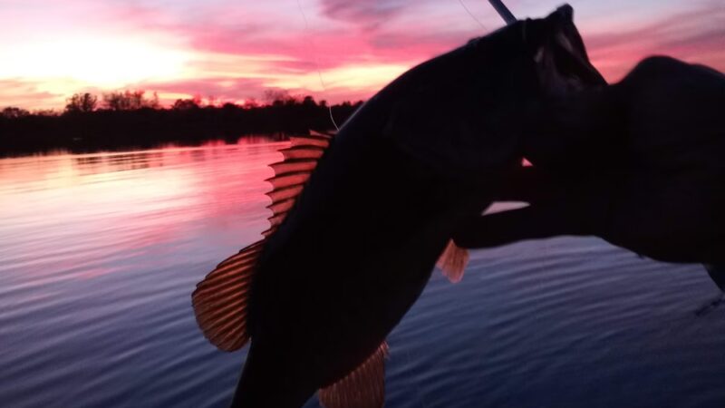 Kitching Creek Preserve - Hobe Sound, FL