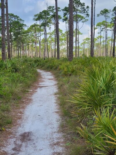 Kitching Creek Trail - Hobe Sound, FL