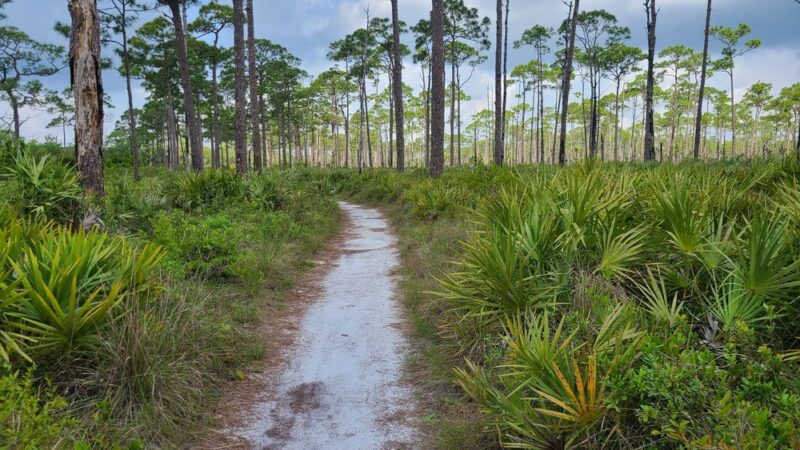 Kitching Creek Trail - Hobe Sound, FL