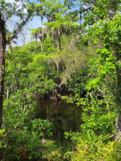 Kitching Creek Trail - Hobe Sound, FL