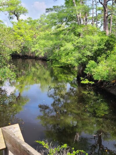 Kitching Creek Trail - Hobe Sound, FL