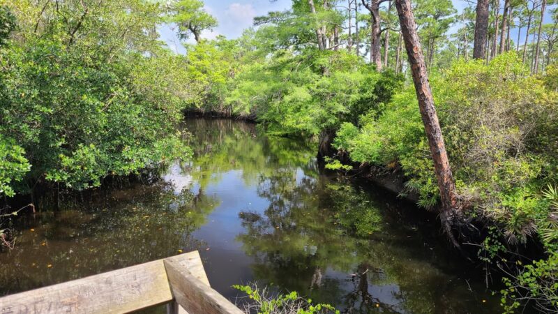 Kitching Creek Trail - Hobe Sound, FL
