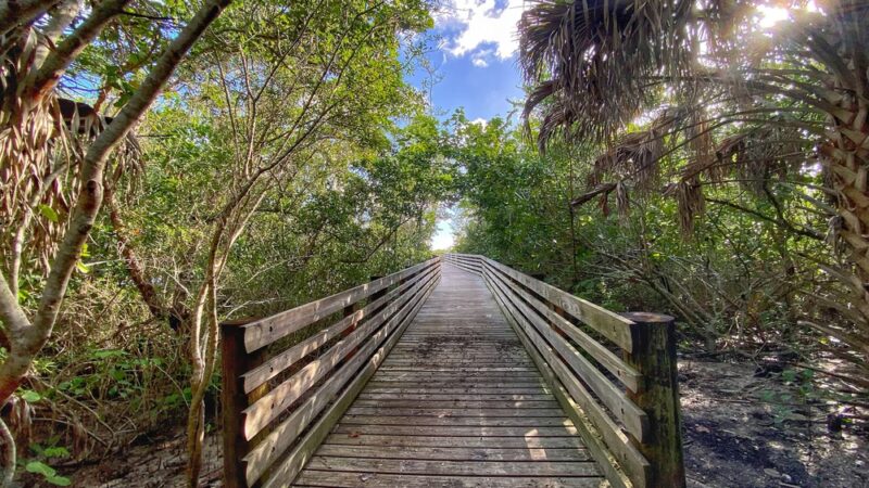 Peck Lake Park - Hobe Sound, FL