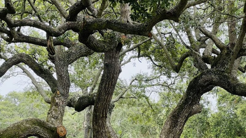Zeus Park - Hobe Sound, FL