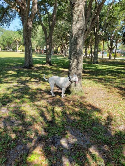 Zeus Park - Hobe Sound, FL