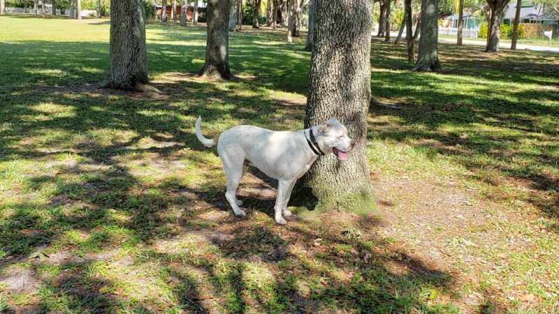 Zeus Park - Hobe Sound, FL