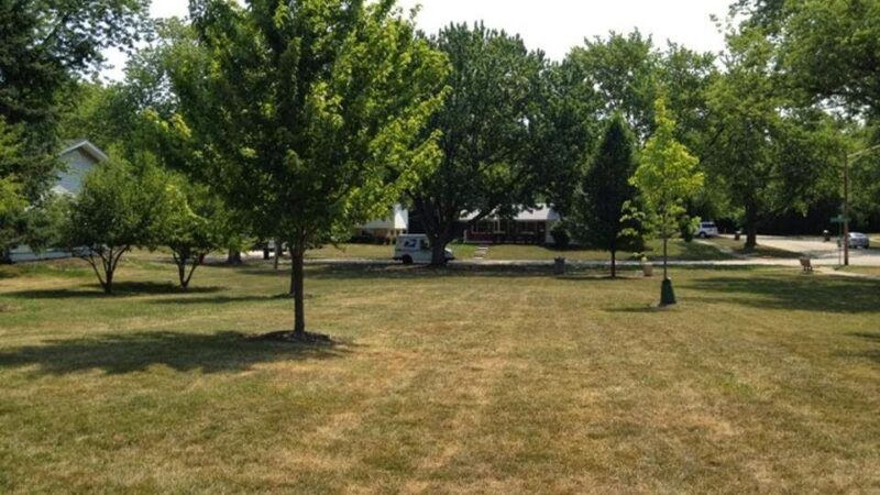 Field Park - Hoffman Estates, IL