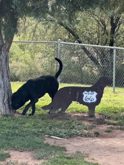 Heward Park - Holbrook, AZ