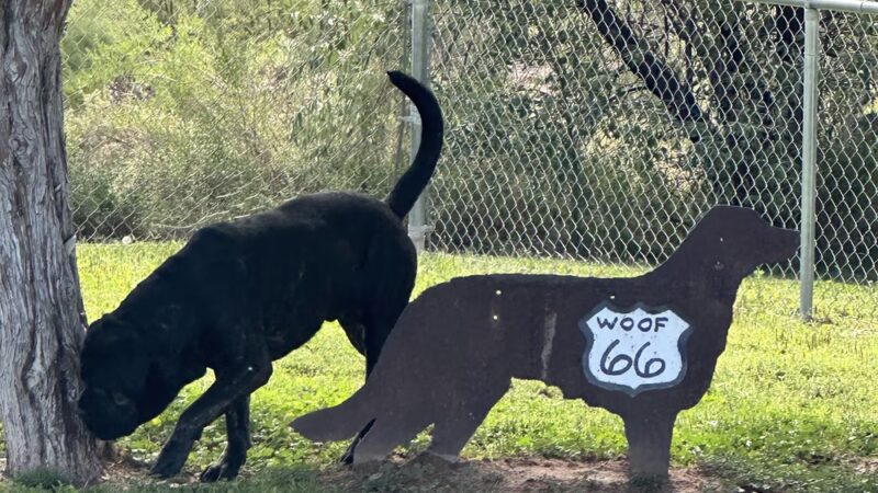 Heward Park - Holbrook, AZ