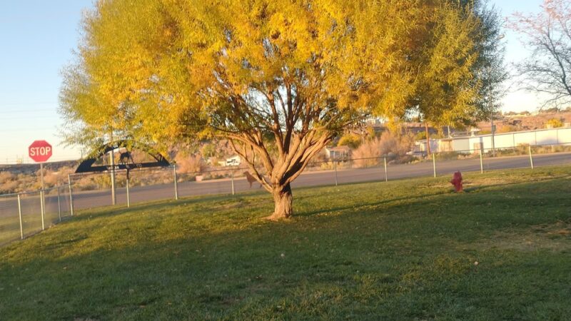 Heward Park - Holbrook, AZ