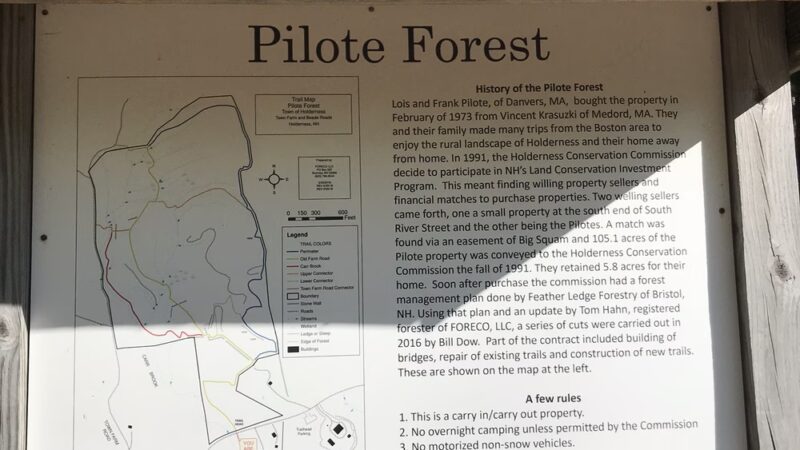 Pilote Town Forest - Holderness, NH