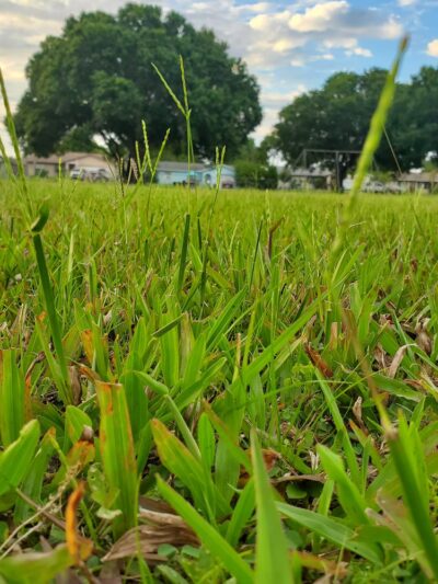 Aloha Gardens Park - Holiday, FL