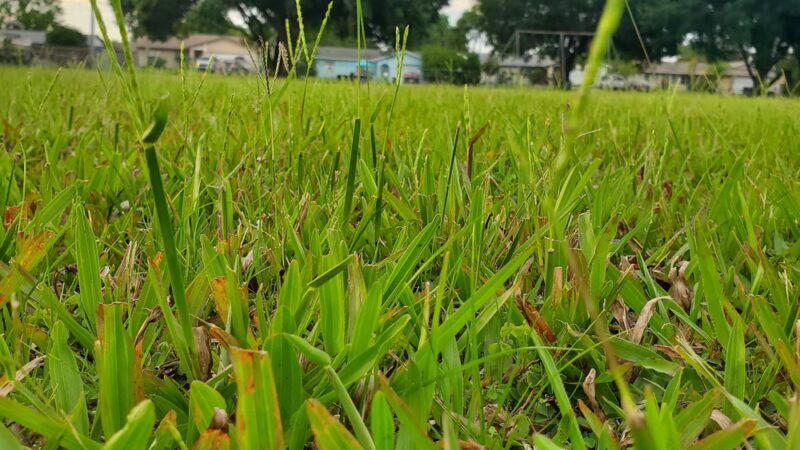 Aloha Gardens Park - Holiday, FL