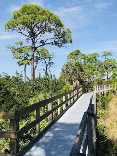 Anclote Gulf Park - Holiday, FL