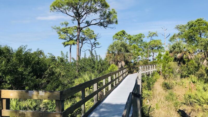 Anclote Gulf Park - Holiday, FL
