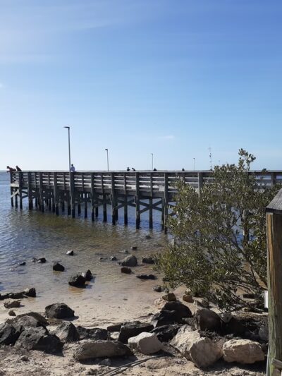Anclote Gulf Park - Holiday, FL