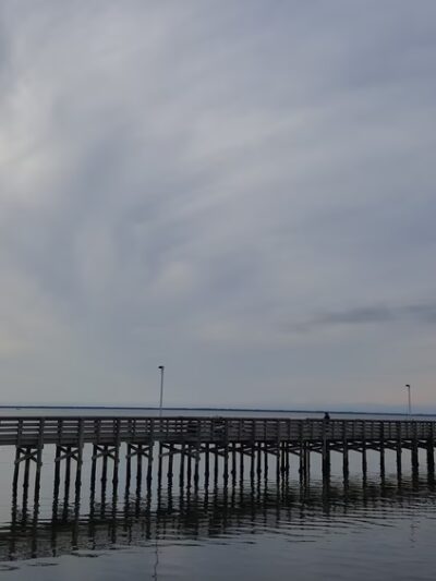 Anclote Gulf Park - Holiday, FL