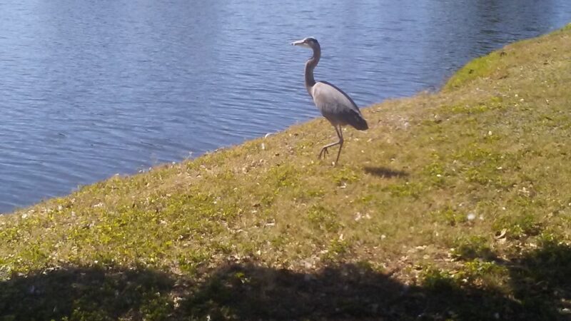 Holiday Travel Park - Holiday, FL