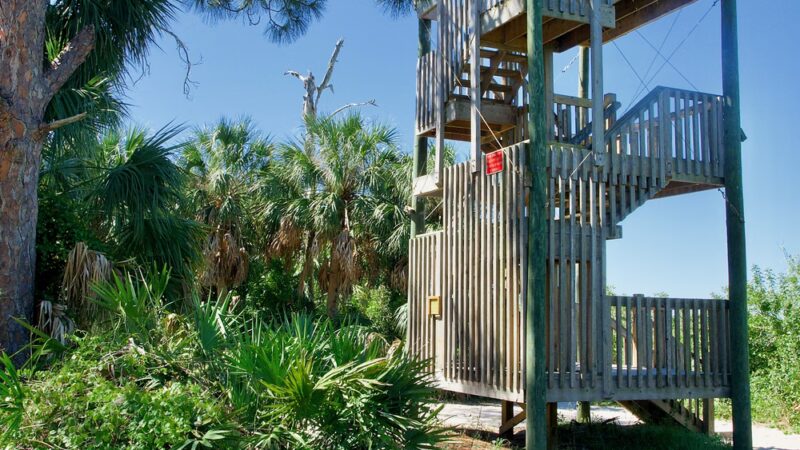 Key Vista Nature Park - Holiday, FL