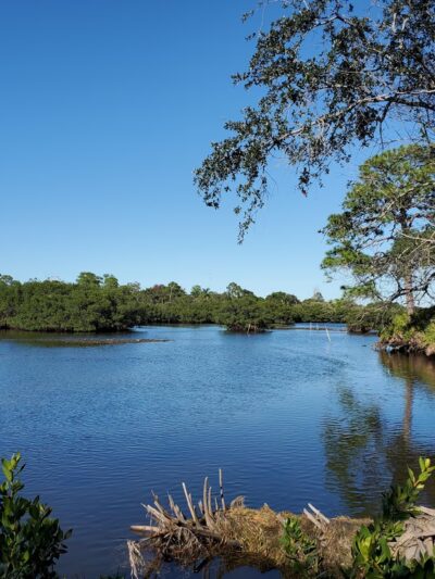 Key Vista Nature Park - Holiday, FL
