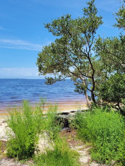 Key Vista Nature Park - Holiday, FL