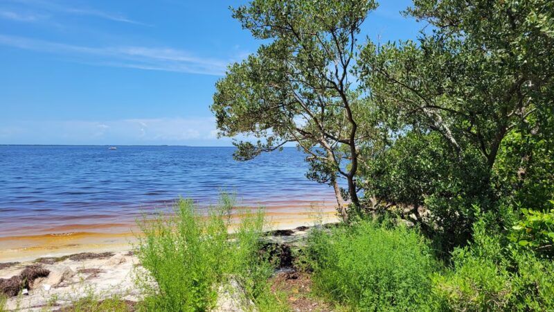 Key Vista Nature Park - Holiday, FL