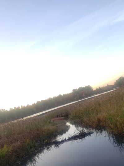 Lake Siog Park - Holland, MA