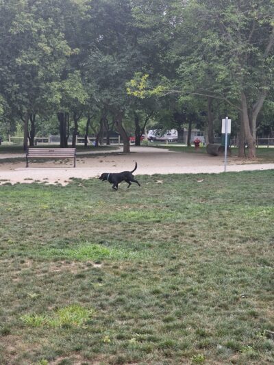 Dog Park at Van Raalte Farm Park - Holland, MI