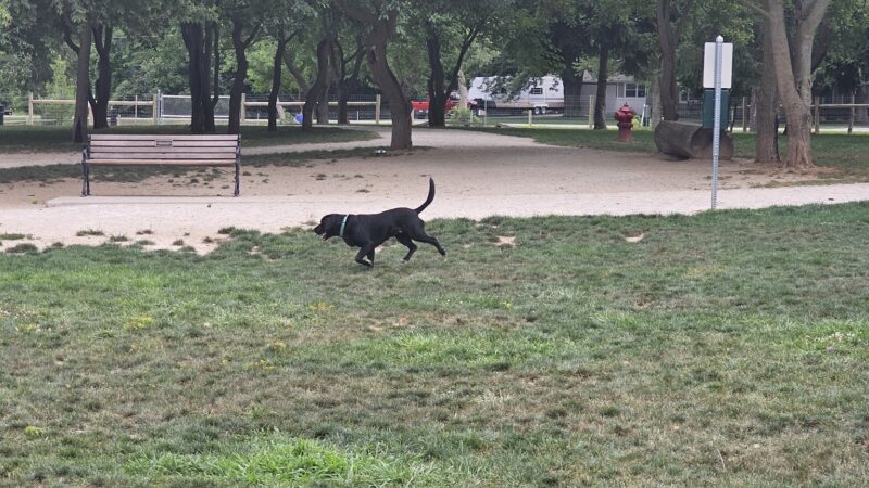 Dog Park at Van Raalte Farm Park - Holland, MI