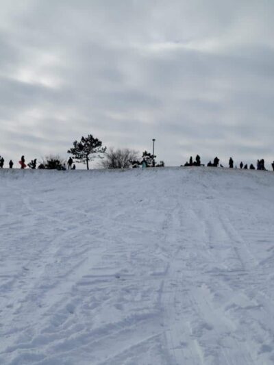 Dog Park at Van Raalte Farm Park - Holland, MI