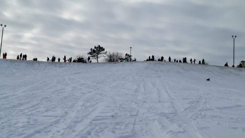 Dog Park at Van Raalte Farm Park - Holland, MI