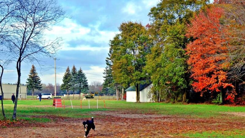 Large Dog Park at Park Township Park - Holland, MI