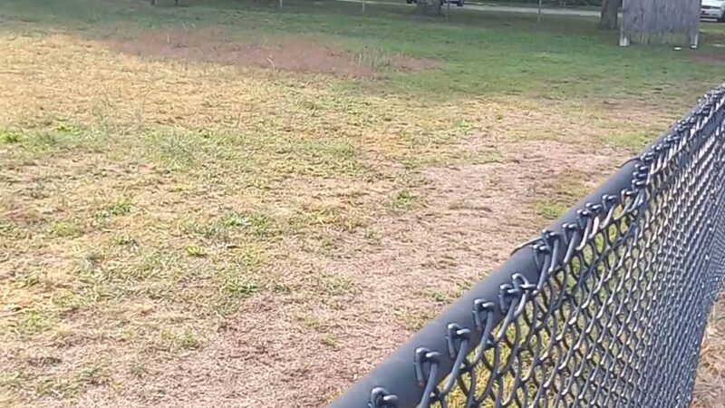 Large Dog Park at Park Township Park - Holland, MI