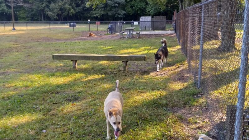 Large Dog Park at Park Township Park - Holland, MI