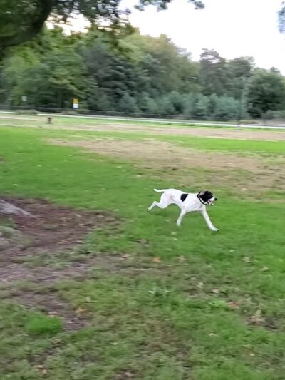 Quincy Park - Holland, MI