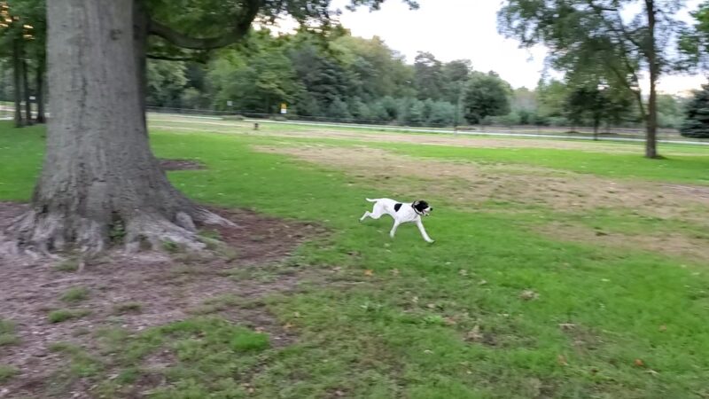 Quincy Park - Holland, MI