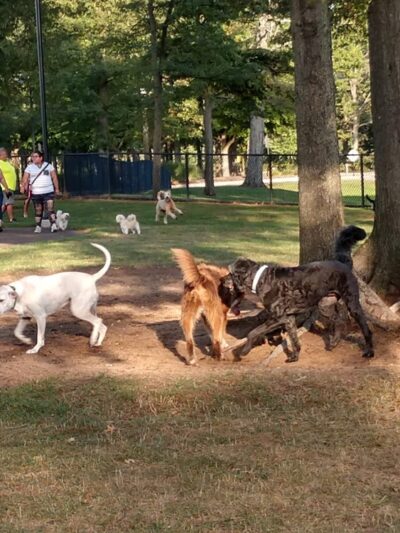Quincy Park - Holland, MI