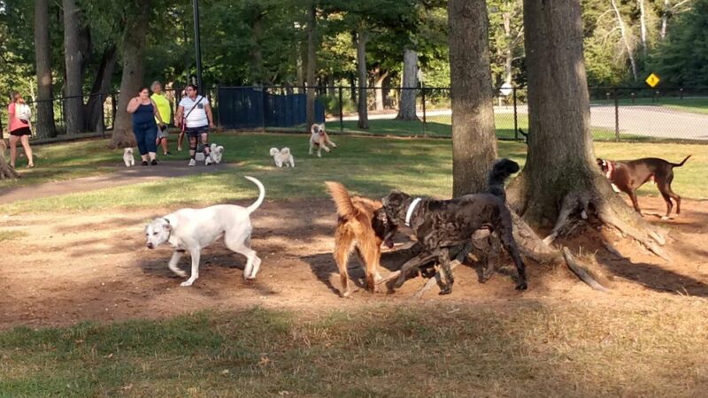Quincy Park - Holland, MI