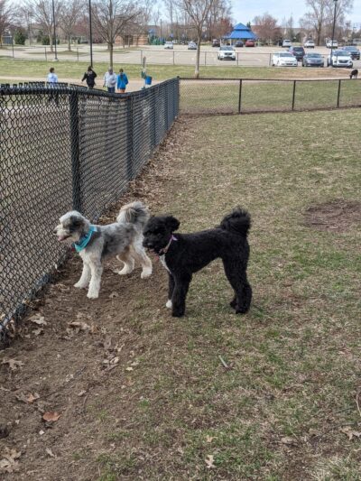 Quincy Park - Holland, MI