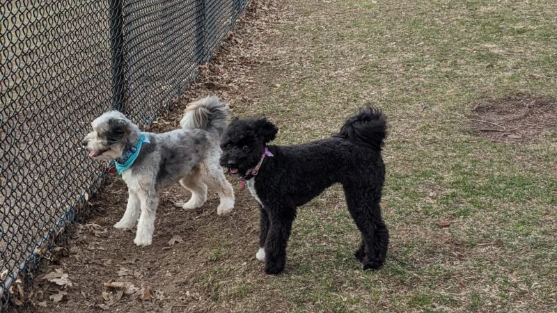 Quincy Park - Holland, MI