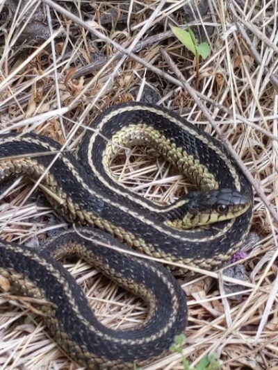 NatureWorks Park - Hollidaysburg, PA