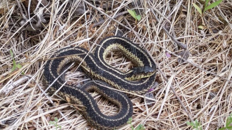 NatureWorks Park - Hollidaysburg, PA