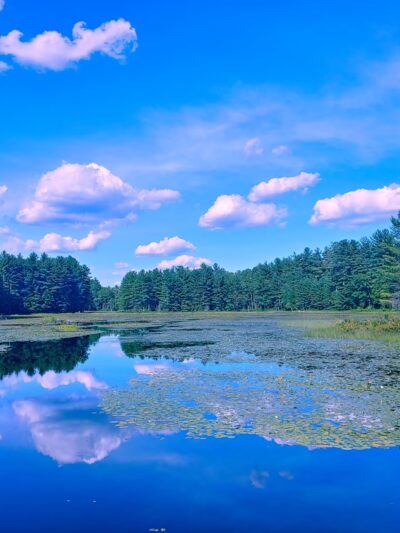 Beaver Brook Association Wildlife Pond Trailhead - Hollis, NH