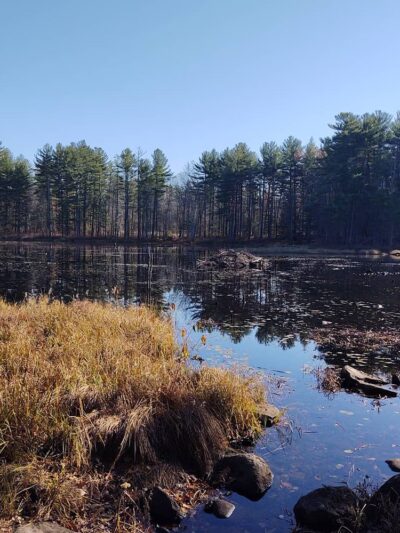 Beaver Brook Association Wildlife Pond Trailhead - Hollis, NH