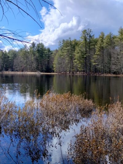Beaver Brook Association Wildlife Pond Trailhead - Hollis, NH