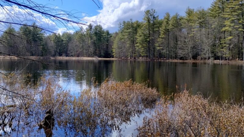 Beaver Brook Association Wildlife Pond Trailhead - Hollis, NH