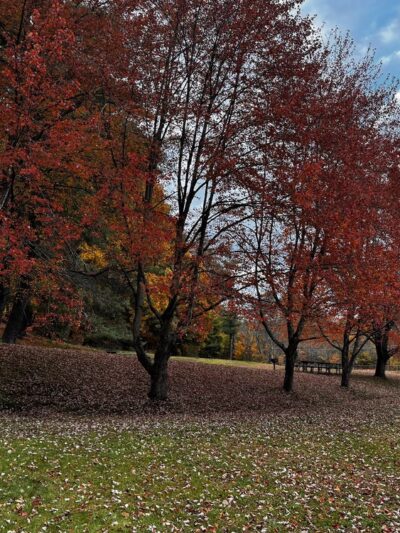 Silver Lake State Park - Hollis, NH