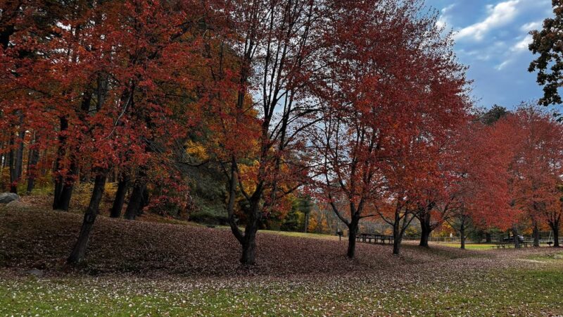 Silver Lake State Park - Hollis, NH