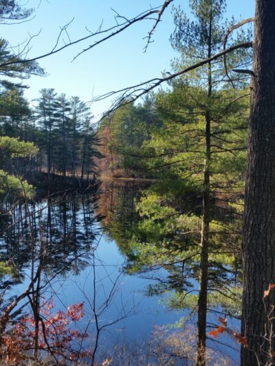 Spalding Park - Hollis Town Forest - Hollis, NH