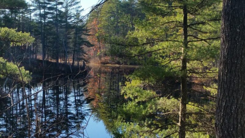 Spalding Park - Hollis Town Forest - Hollis, NH